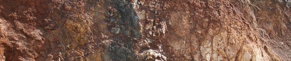 Rivanna Master Naturalists